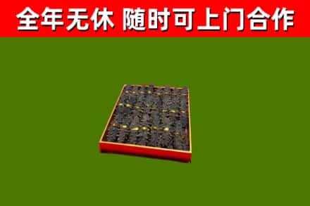邯山回收海参